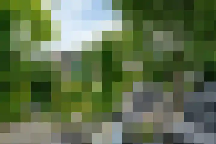 Vosmaerlaan 16 Heerhugowaard thumbnail 63