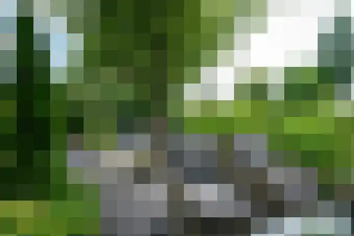 Vosmaerlaan 16 Heerhugowaard thumbnail 64
