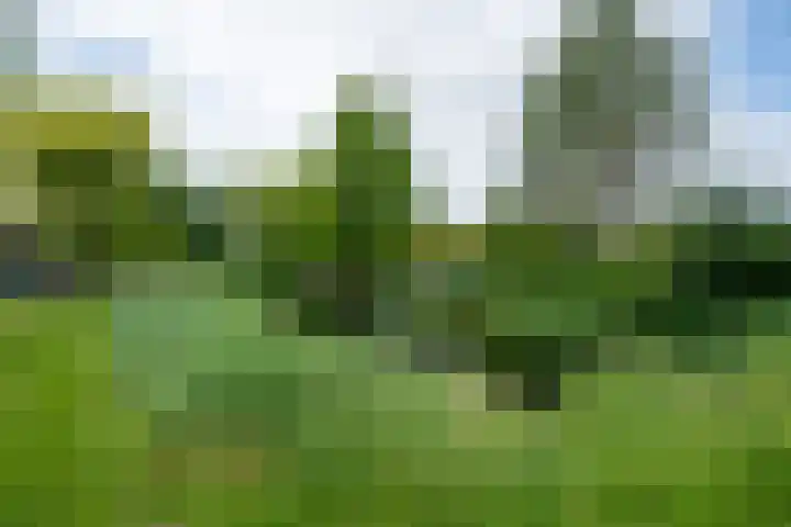 Vosmaerlaan 16 Heerhugowaard thumbnail 66