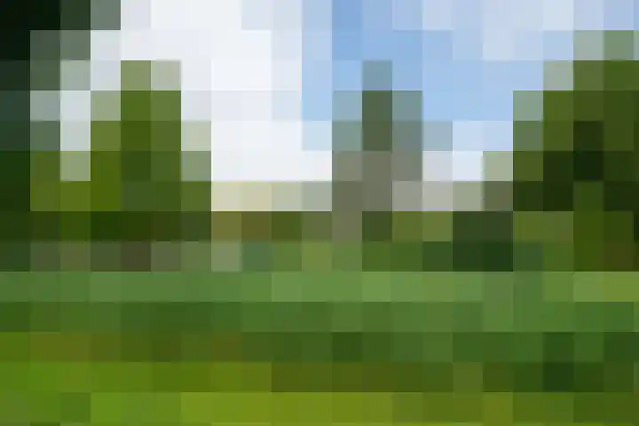 Vosmaerlaan 16 Heerhugowaard thumbnail 67