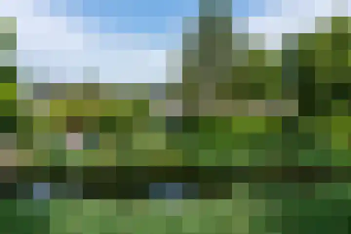 Vosmaerlaan 16 Heerhugowaard thumbnail 68