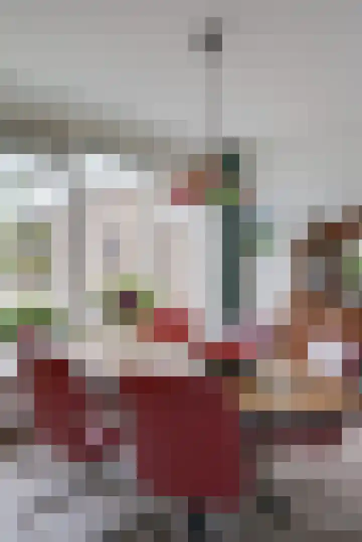 Vosmaerlaan 16 Heerhugowaard thumbnail 9