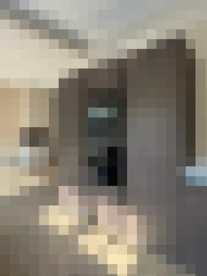 Vosmaerlaan 2 Bussum thumbnail 11