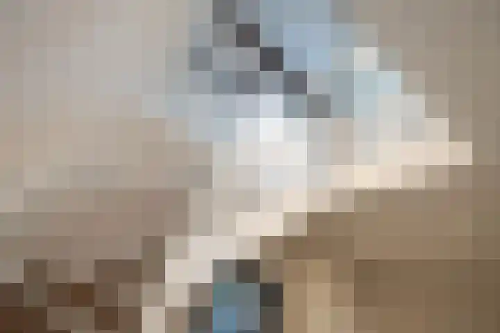 Vosmaerlaan 2 Bussum thumbnail 19