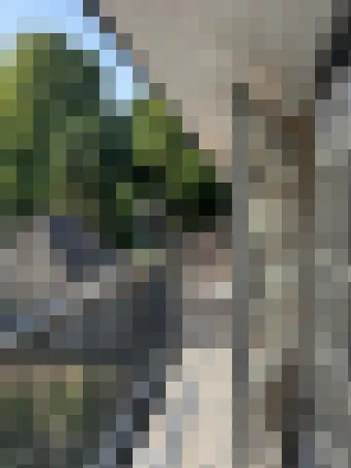 Vosmaerlaan 2 Bussum thumbnail 22