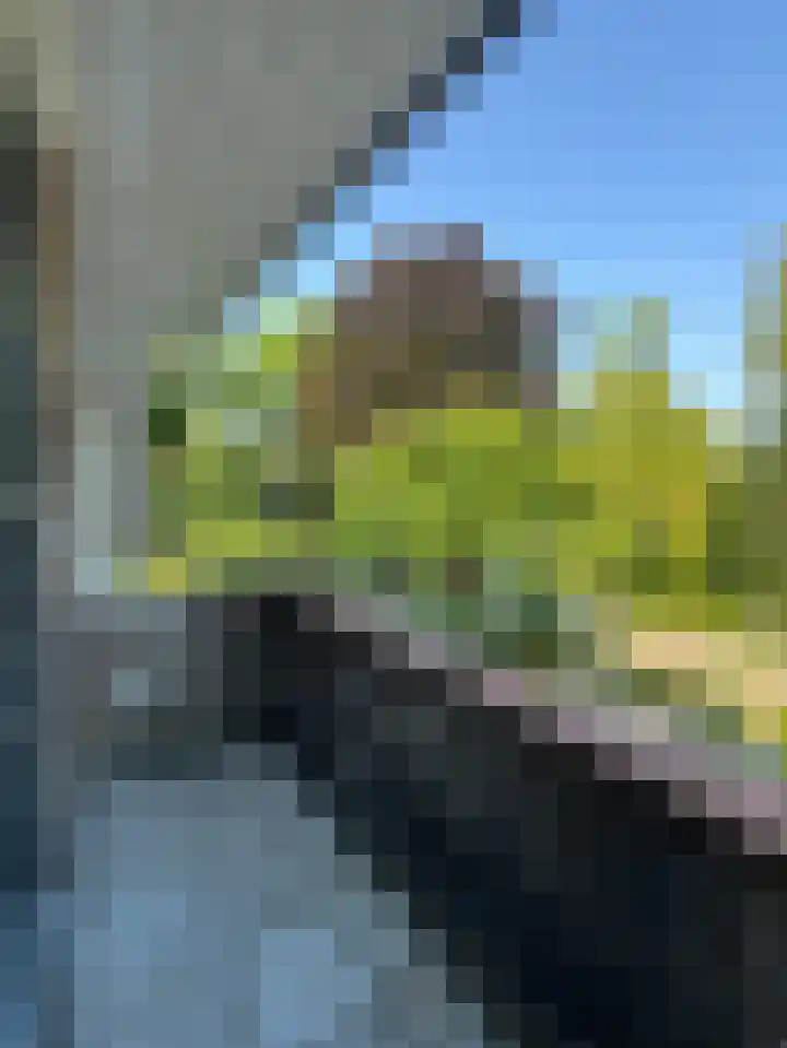 Vosmaerlaan 2 Bussum thumbnail 23