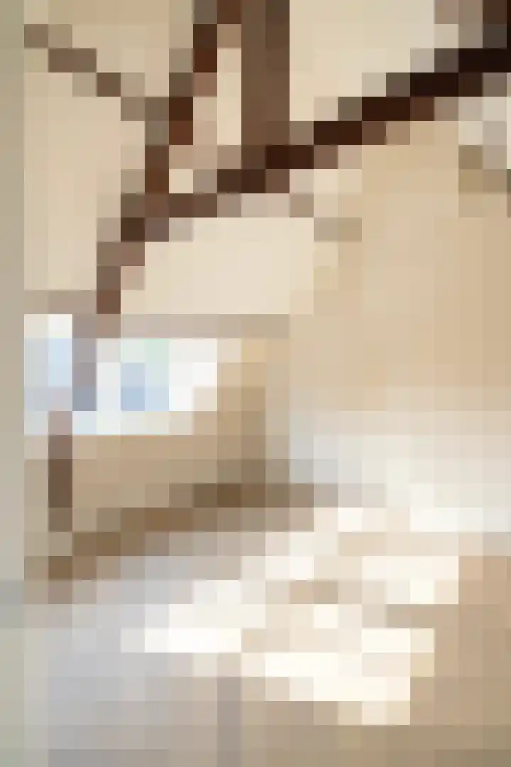 Vosmaerlaan 2 Bussum thumbnail 31
