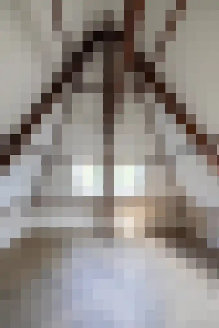 Vosmaerlaan 2 Bussum thumbnail 34