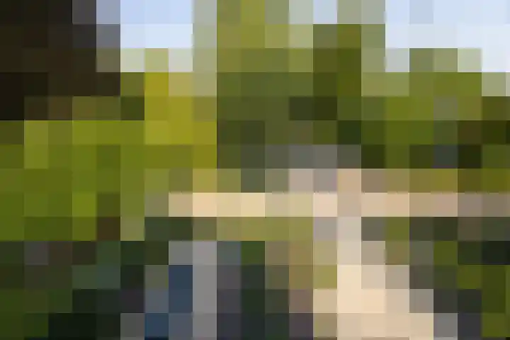 Vosmaerlaan 2 Bussum thumbnail 36