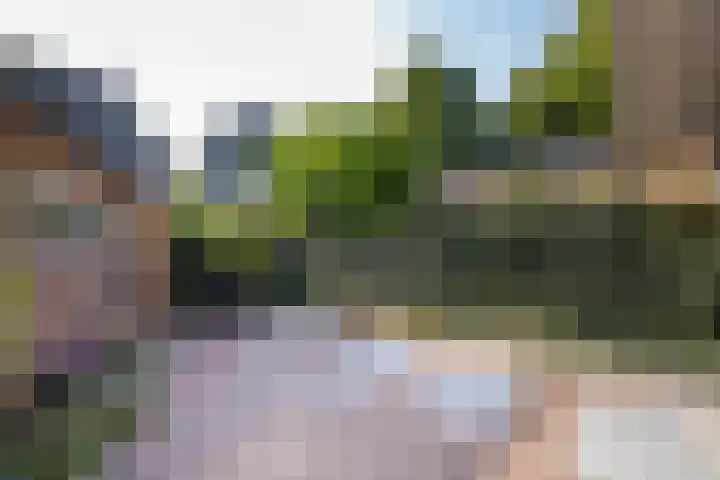 Vosmaerlaan 2 Bussum thumbnail 38