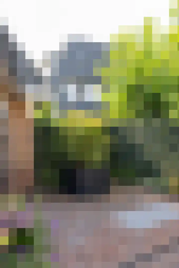 Vosmaerlaan 2 Bussum thumbnail 40