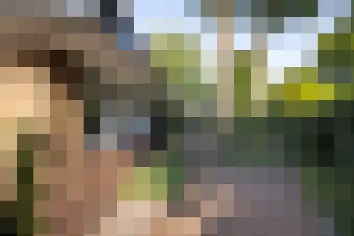 Vosmaerlaan 2 Bussum thumbnail 42