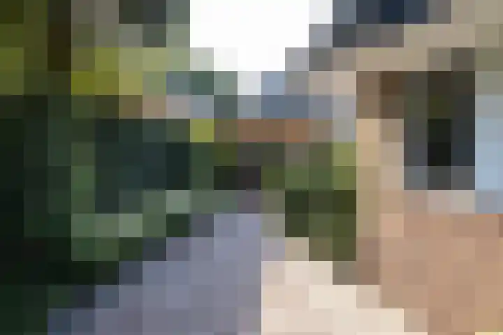 Vosmaerlaan 2 Bussum thumbnail 43