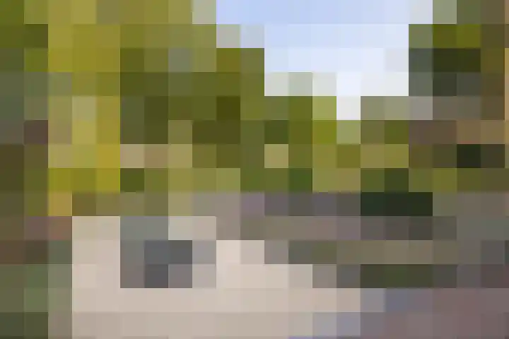 Vosmaerlaan 2 Bussum thumbnail 44