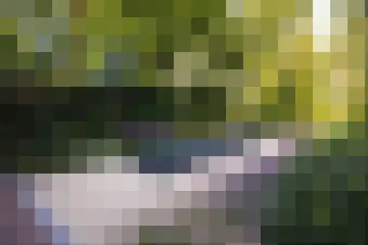 Vosmaerlaan 2 Bussum thumbnail 46