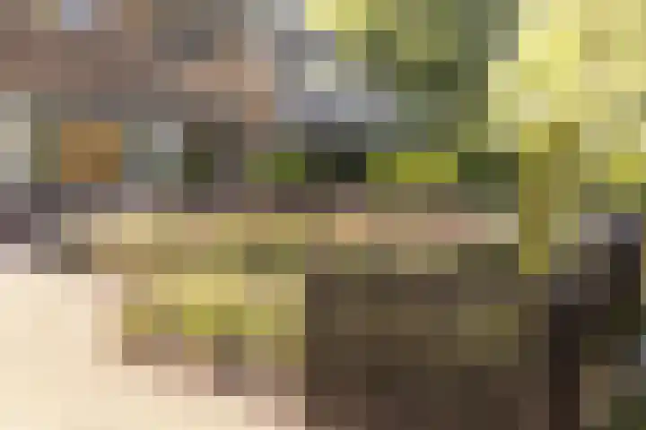 Vosmaerlaan 2 Bussum thumbnail 48