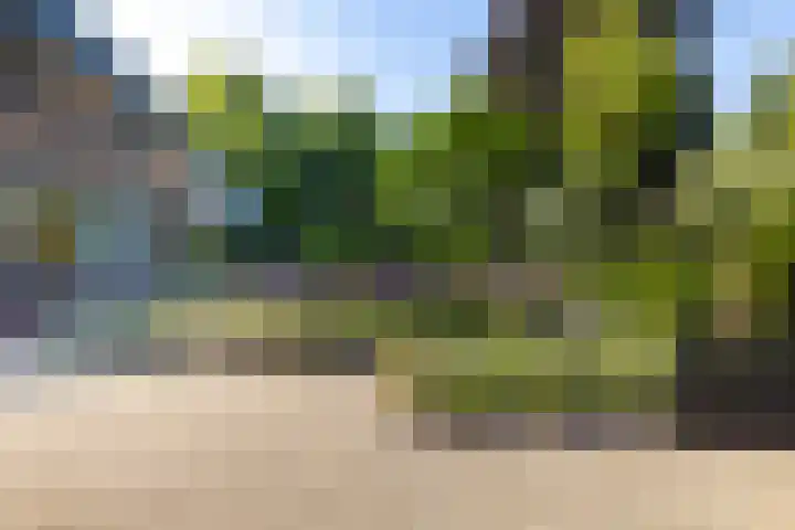 Vosmaerlaan 2 Bussum thumbnail 49