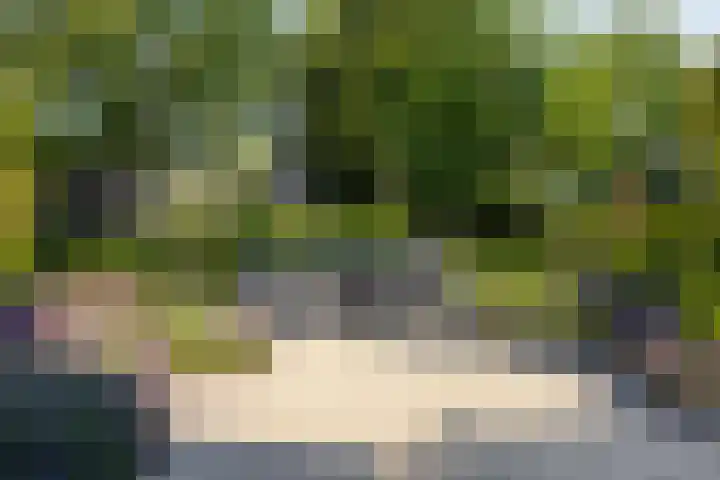 Vosmaerlaan 2 Bussum thumbnail 50