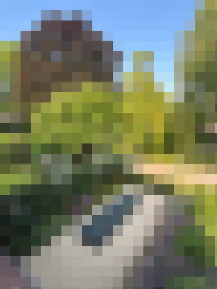 Vosmaerlaan 2 Bussum thumbnail 53