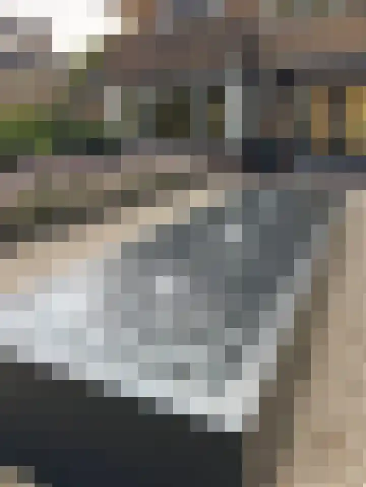 Vosmaerlaan 2 Bussum thumbnail 57