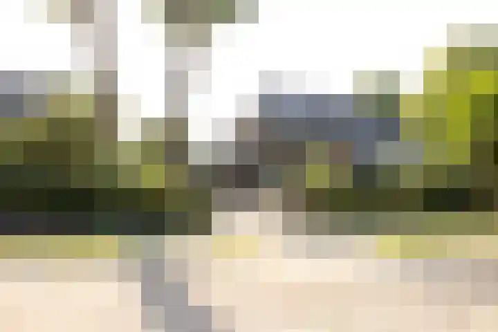Vosmaerlaan 2 Bussum thumbnail 59