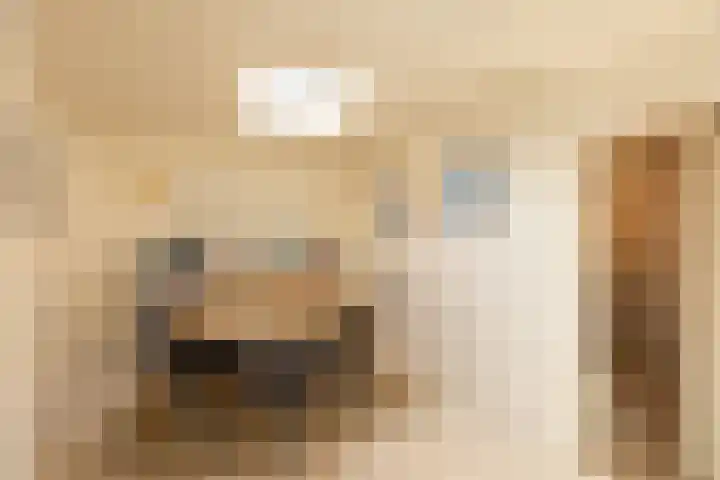 Vosmaerlaan 21 Hilversum thumbnail 10