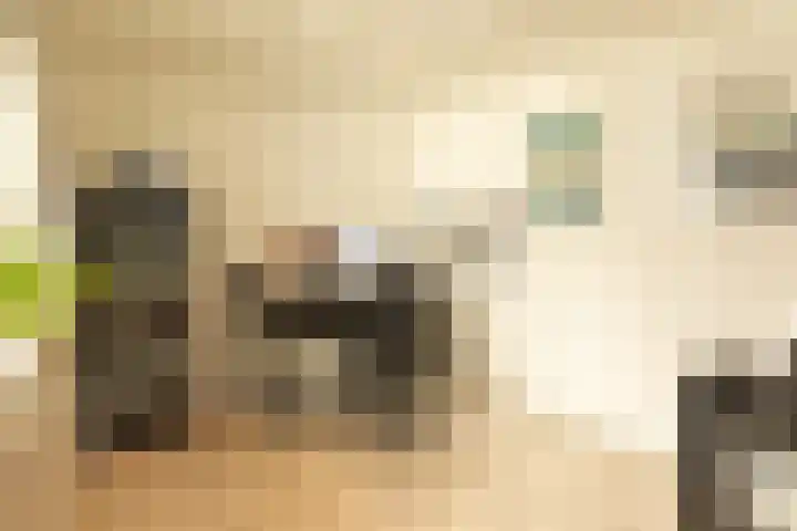 Vosmaerlaan 21 Hilversum thumbnail 11