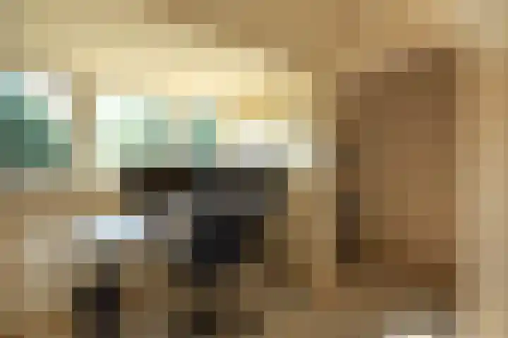 Vosmaerlaan 21 Hilversum thumbnail 12
