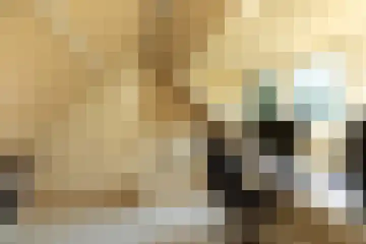 Vosmaerlaan 21 Hilversum thumbnail 13
