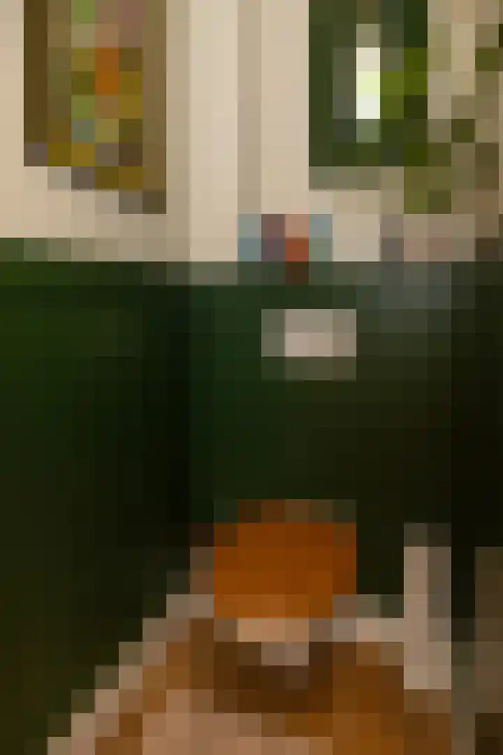 Vosmaerlaan 21 Hilversum thumbnail 17
