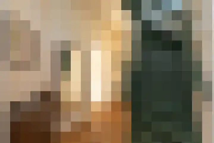 Vosmaerlaan 21 Hilversum thumbnail 19