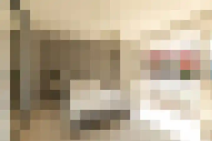 Vosmaerlaan 21 Hilversum thumbnail 23