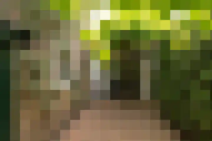 Vosmaerlaan 21 Hilversum thumbnail 34