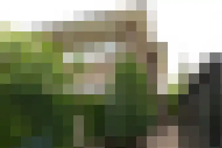 Vosmaerlaan 21 Hilversum thumbnail 37