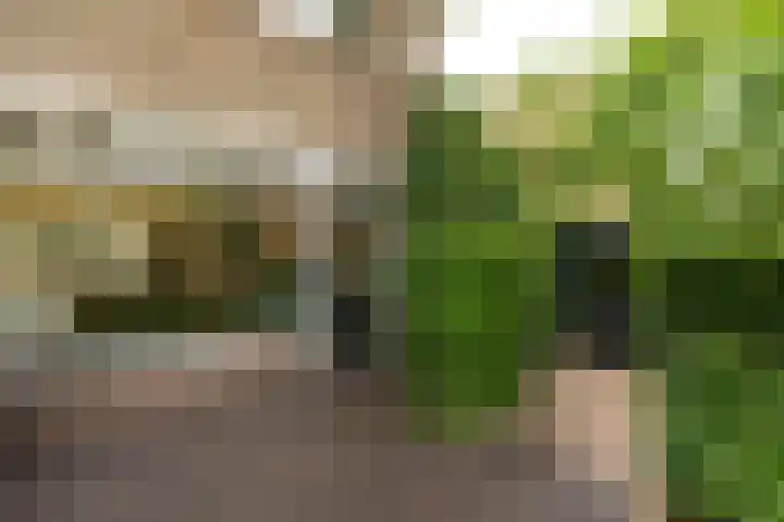 Vosmaerlaan 21 Hilversum thumbnail 38