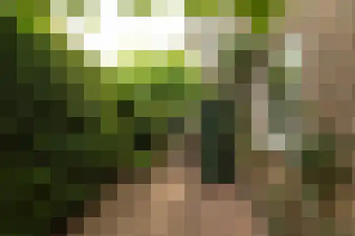 Vosmaerlaan 21 Hilversum thumbnail 39