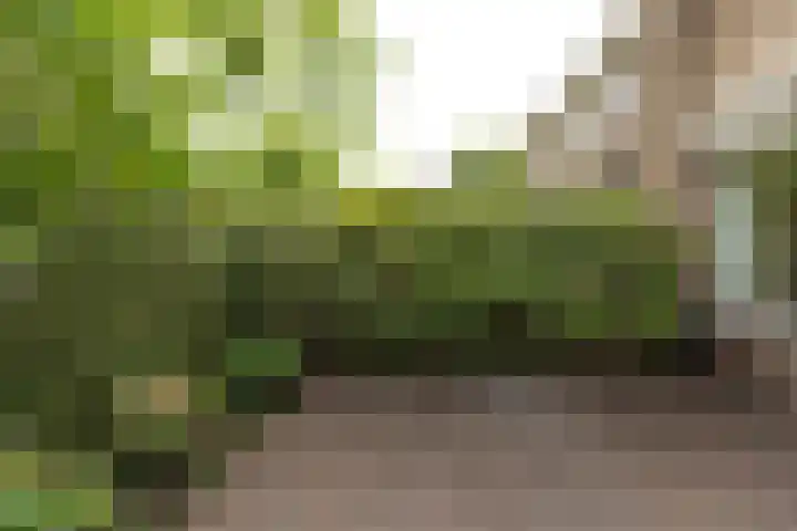 Vosmaerlaan 21 Hilversum thumbnail 40