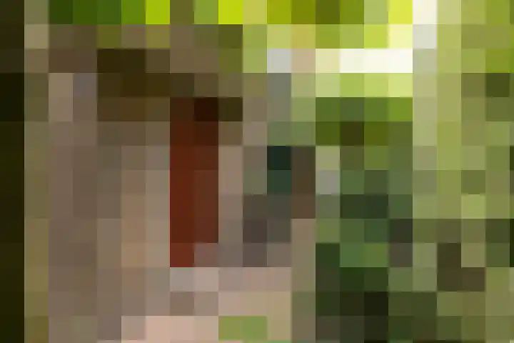 Vosmaerlaan 21 Hilversum thumbnail 41