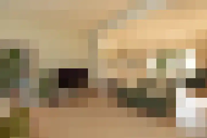 Vosmaerlaan 21 Hilversum thumbnail 5