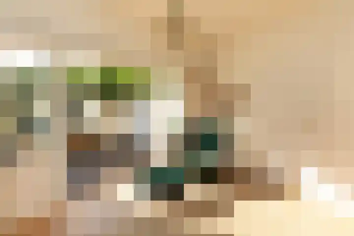 Vosmaerlaan 21 Hilversum thumbnail 7