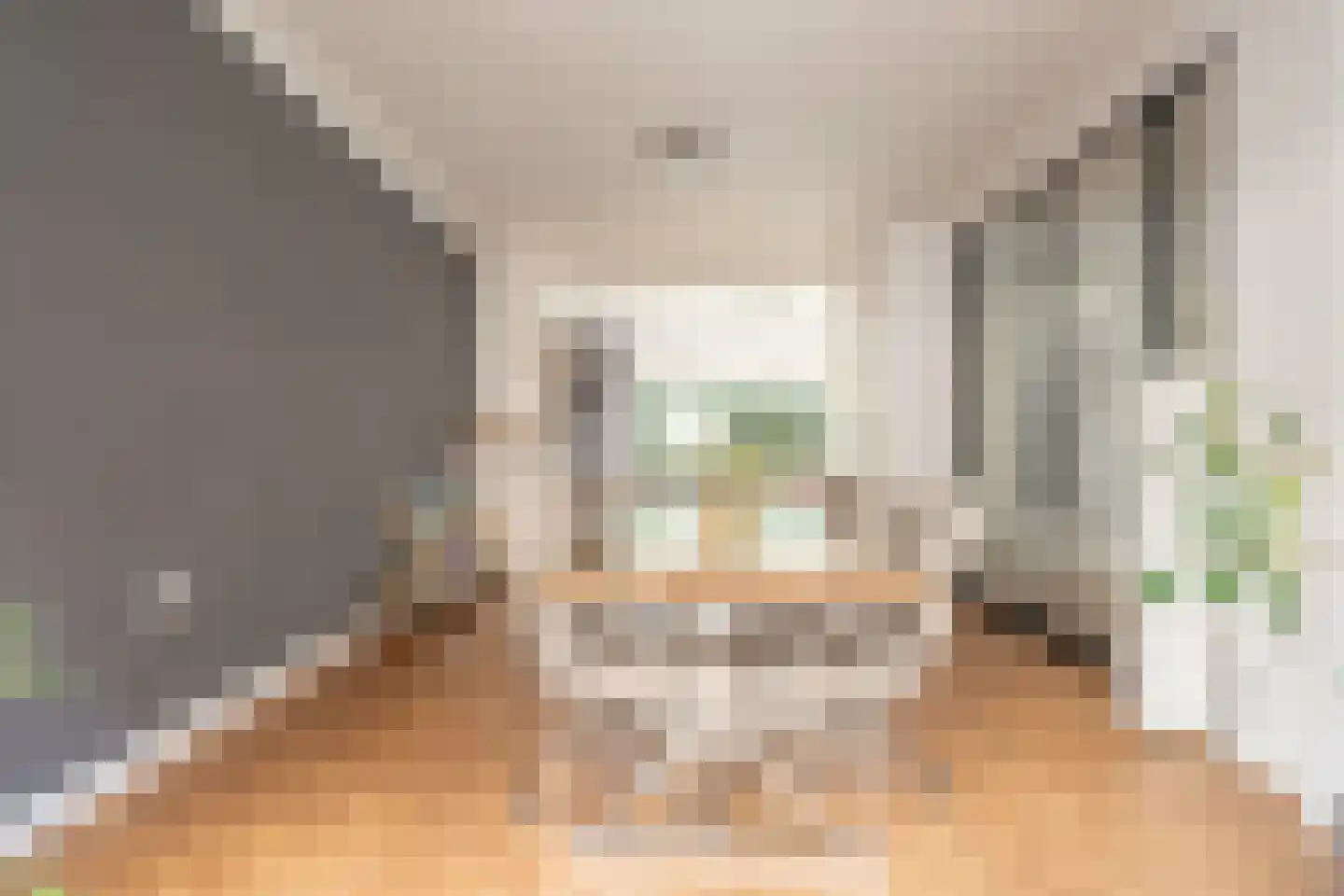 Vosmaerlaan 25 Hilversum thumbnail 11