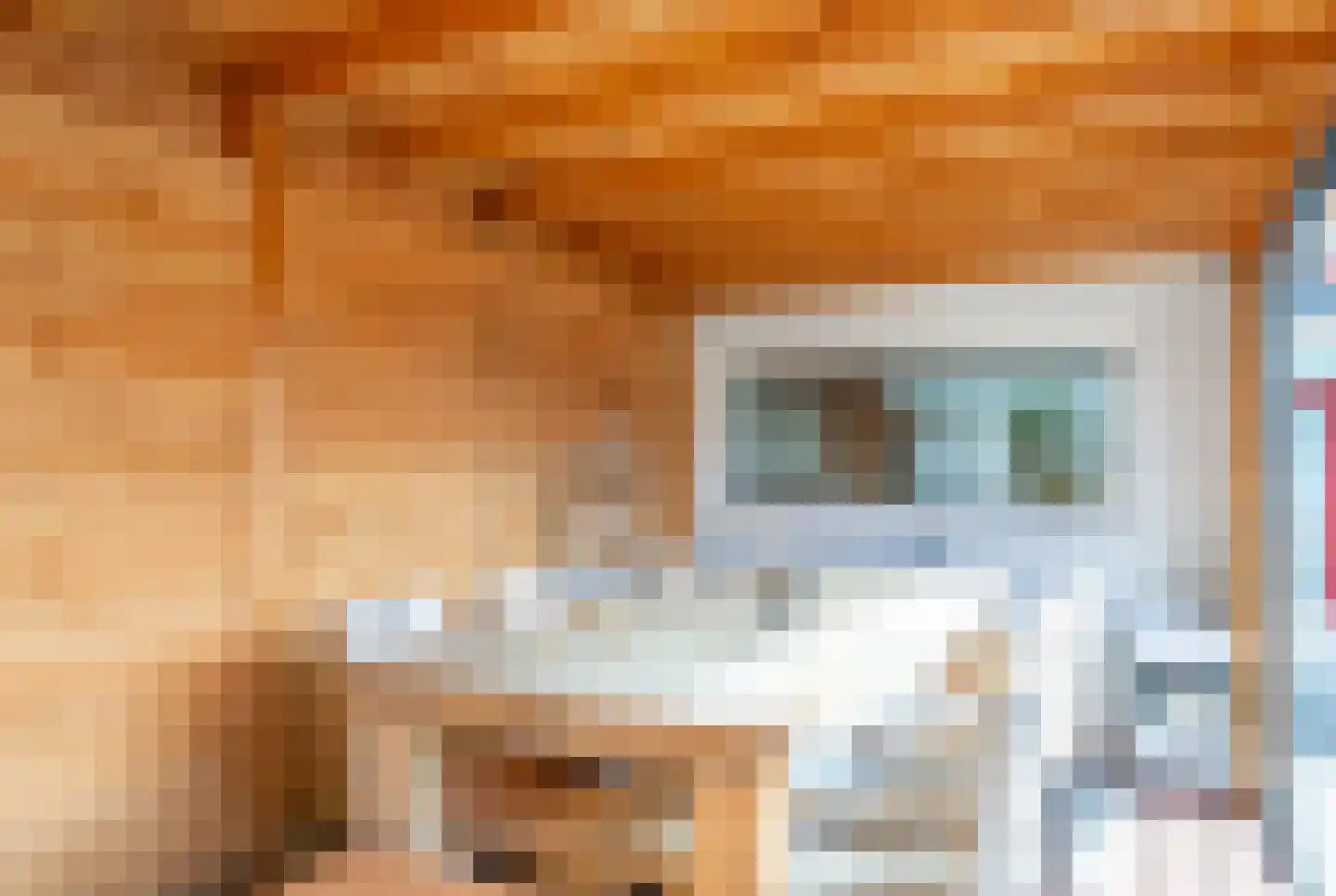 Vosmaerlaan 25 Hilversum thumbnail 58