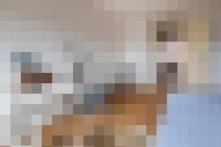 Vosmaerlaan 46 Hilversum thumbnail 18