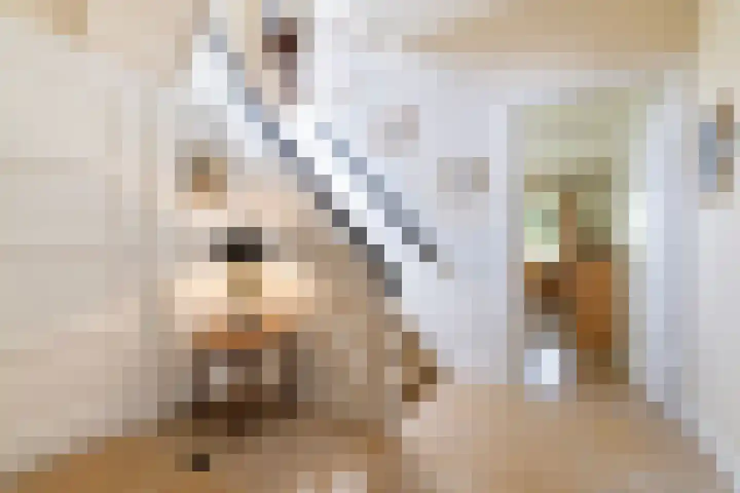 Vosmaerlaan 7 Bussum thumbnail 12