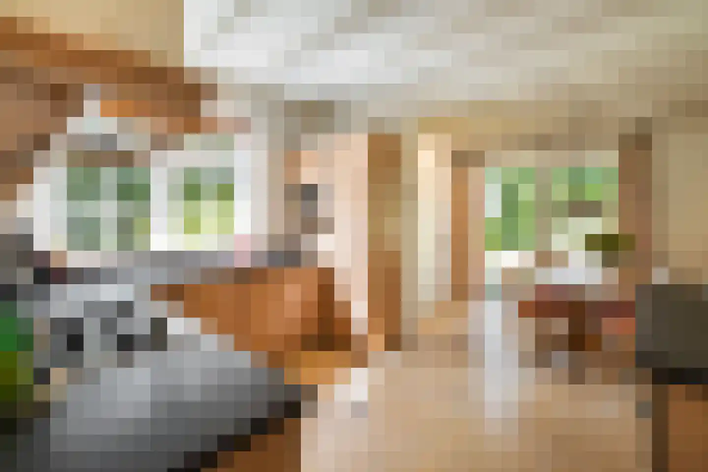 Vosmaerlaan 7 Bussum thumbnail 14