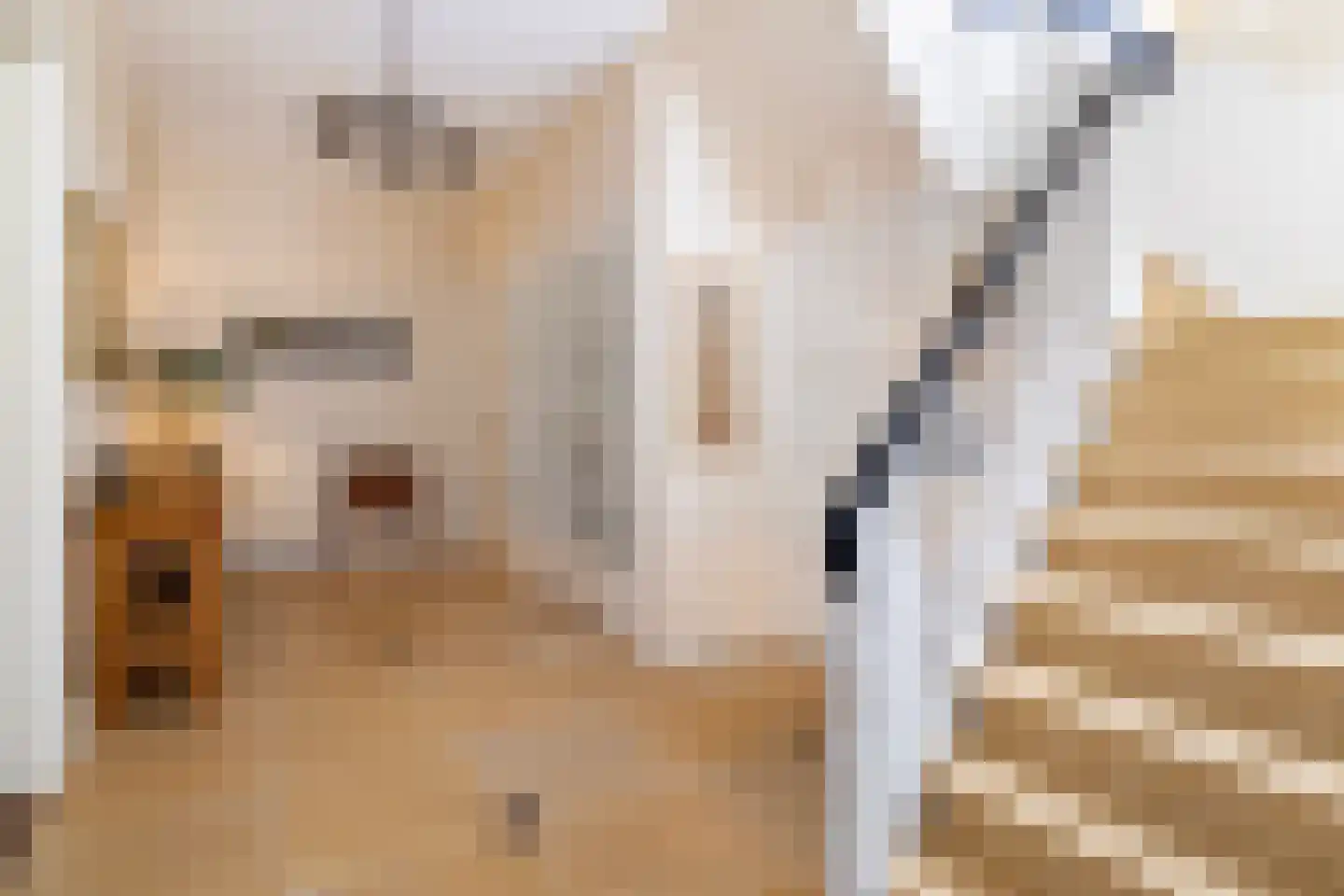 Vosmaerlaan 7 Bussum thumbnail 15