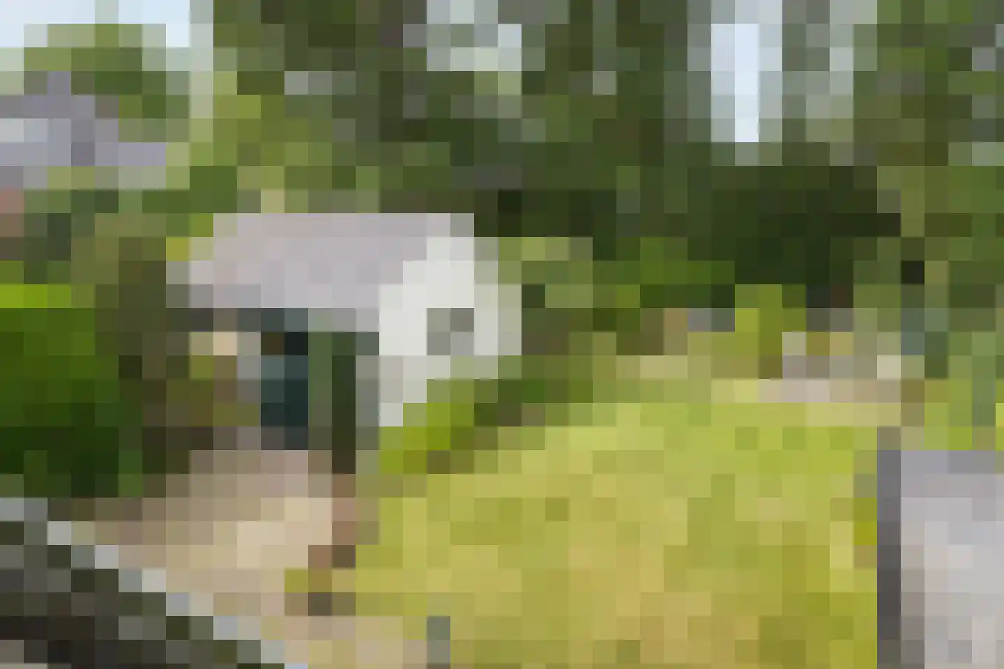 Vosmaerlaan 7 Bussum thumbnail 19