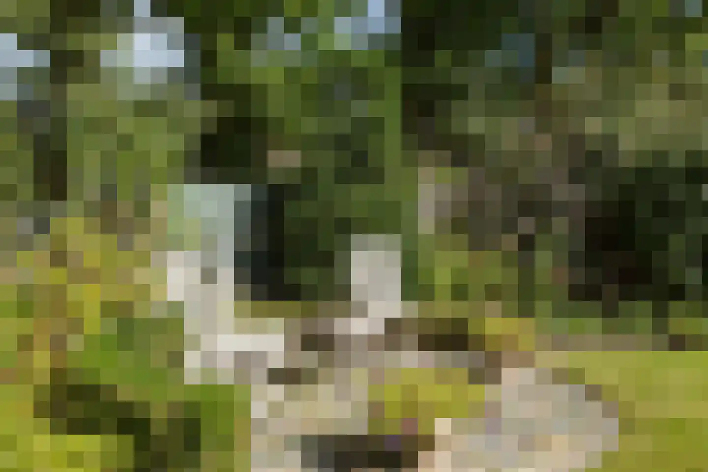 Vosmaerlaan 7 Bussum thumbnail 29