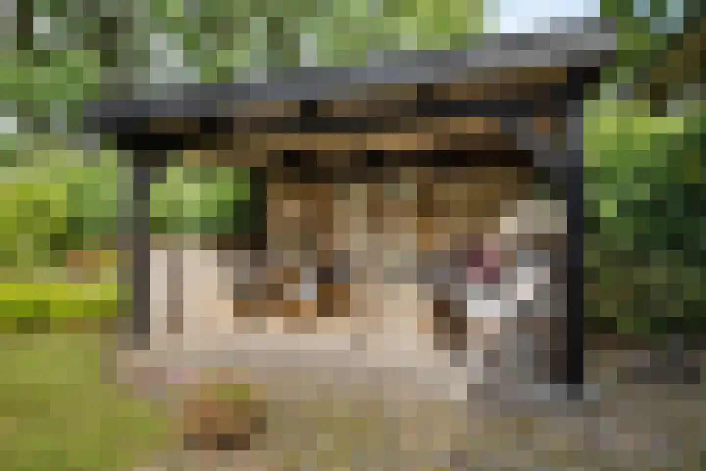 Vosmaerlaan 7 Bussum thumbnail 31