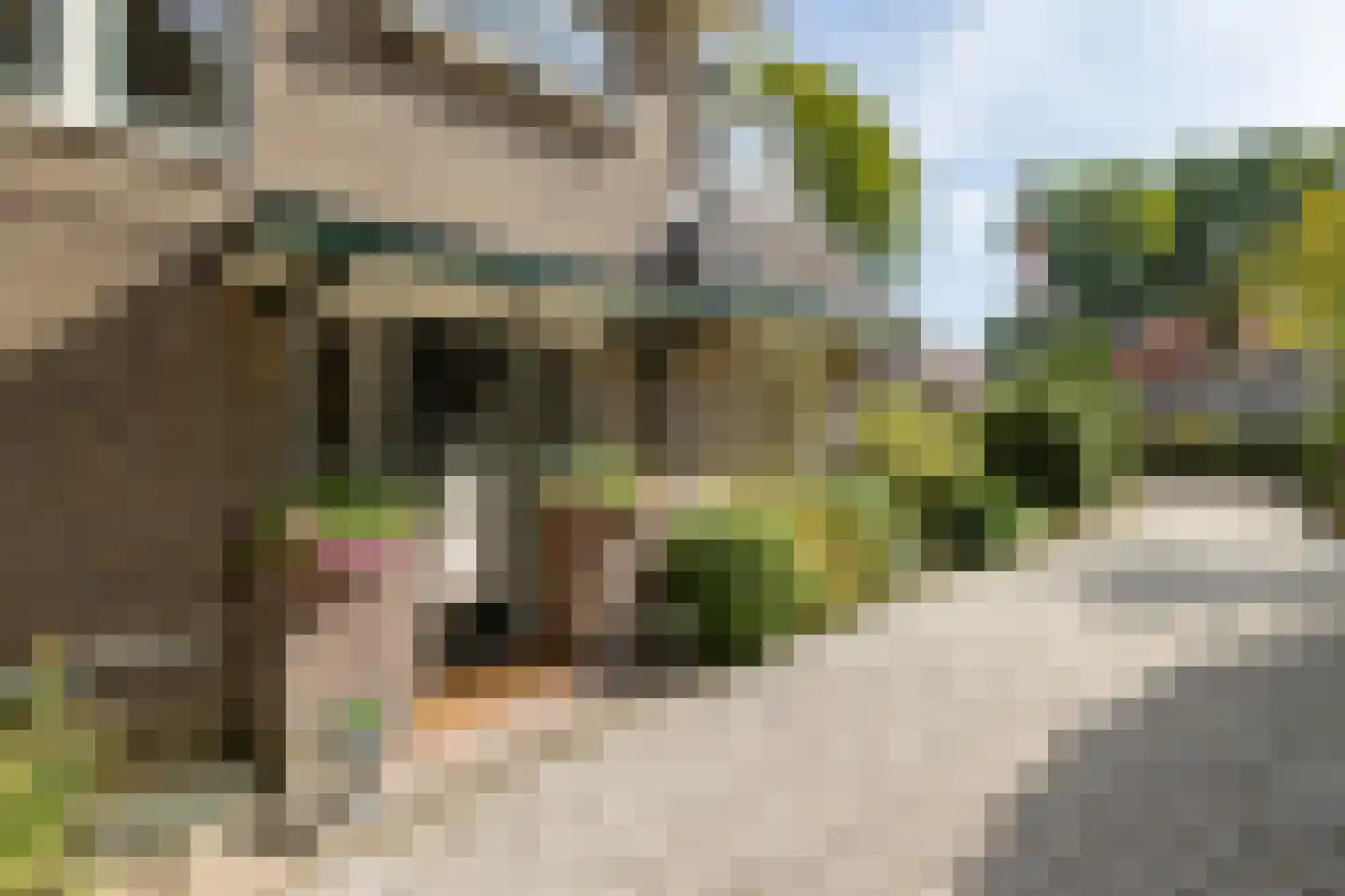 Vosmaerlaan 7 Bussum thumbnail 4